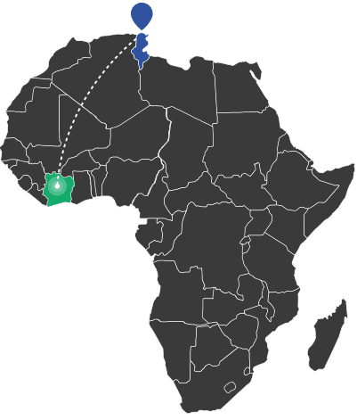 Développement international